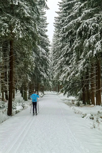 Gyönyörű Téli Táj Türingiai Erdő Magaslatain Schmiedefeld Közelében Türingia — Stock Fotó