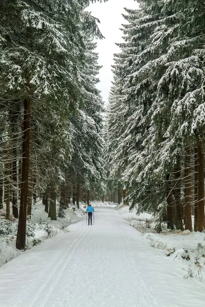 Prachtig Winterlandschap Hoogten Van Het Thüringer Woud Bij Schmiedefeld Thüringen — Stockfoto
