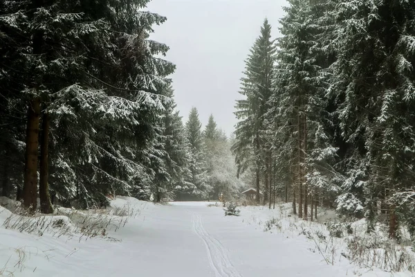 Prachtig Winterlandschap Hoogten Van Het Thüringer Woud Bij Schmiedefeld Thüringen — Stockfoto