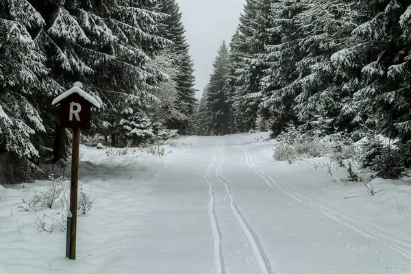Piękny Zimowy Krajobraz Wysokościach Lasu Turyngii Koło Schmiedefeld Turyngia — Zdjęcie stockowe