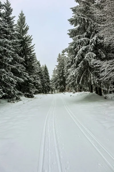 Peisaj Frumos Iarnă Înălțimile Pădurii Turingiene Lângă Schmiedefeld Turingia — Fotografie, imagine de stoc