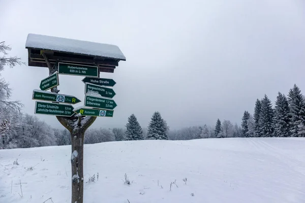 Зимова Екскурсія Тюрингському Лісі Поблизу Штайнбах Галленберг Тюрингія — стокове фото