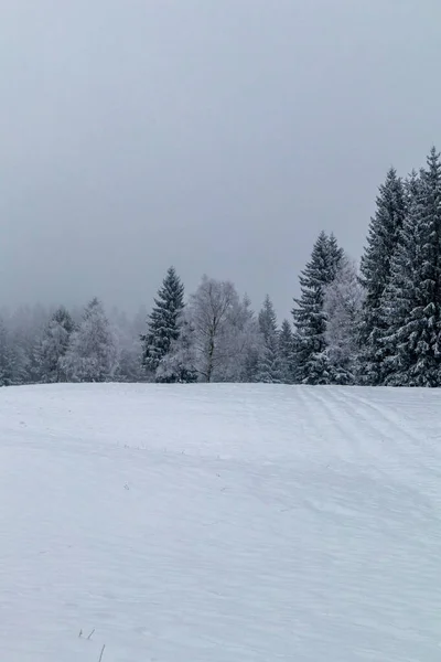 Vinterupptäcktsfärd Genom Thüringen Nära Steinbach Hallenberg Thüringen — Stockfoto