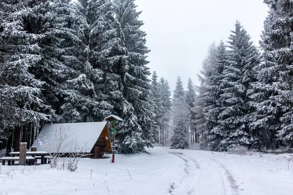 Winter Entdeckungstour Durch Den Thüringer Wald Bei Steinbach Hallenberg Thüringen — Stockfoto