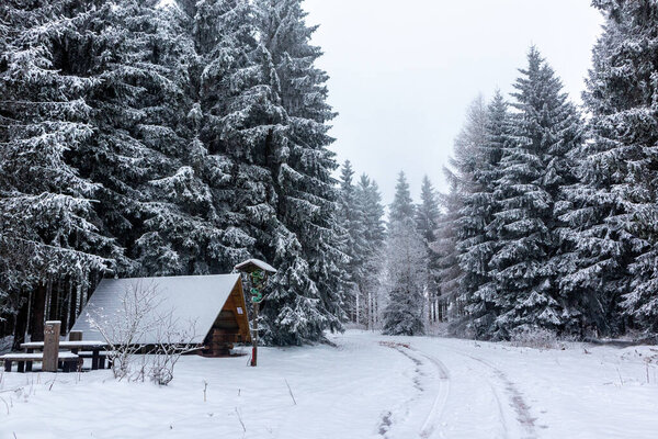 Winter discovery tour through the Thuringian Forest near Steinbach-Hallenberg - Thuringia