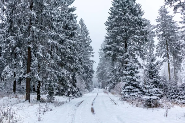 Winterontdekkingstocht Door Het Thüringer Woud Bij Steinbach Hallenberg Thüringen — Stockfoto