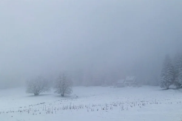 Tour Descubrimiento Invierno Por Bosque Turingia Cerca Steinbach Hallenberg Turingia — Foto de Stock