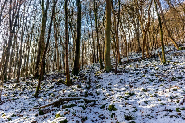 Caminata Invierno Por Hermoso Vorderrhn Cerca Dermbach Turingia — Foto de Stock