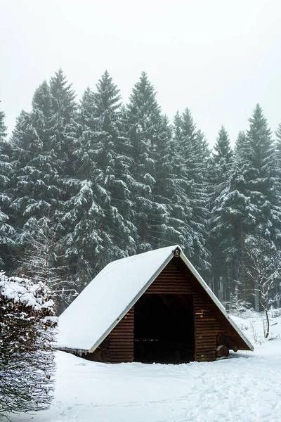 Krásná Zimní Krajina Výšinách Durynského Lesa Schmiedefeldu Durynsko — Stock fotografie