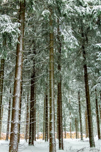 Schöne Winterlandschaft Auf Den Höhen Des Thüringer Waldes Bei Schmiedefeld — Stockfoto