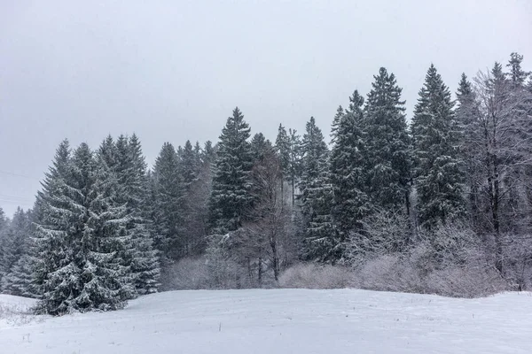 Prachtig Winterlandschap Hoogten Van Het Thüringer Woud Bij Floh Seligenthal — Stockfoto