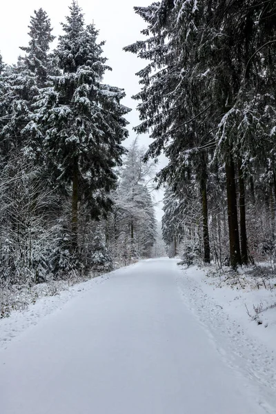 Bela Paisagem Inverno Nas Alturas Floresta Turíngia Perto Floh Seligenthal — Fotografia de Stock