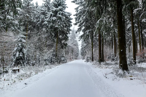 Beautiful Winter Landscape Heights Thuringian Forest Floh Seligenthal Thuringia — Stock Photo, Image