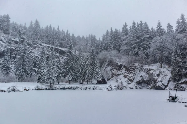 Floh Seligenthal近くのテューリンゲンの森の高さの美しい冬の風景 テューリンゲン州 — ストック写真