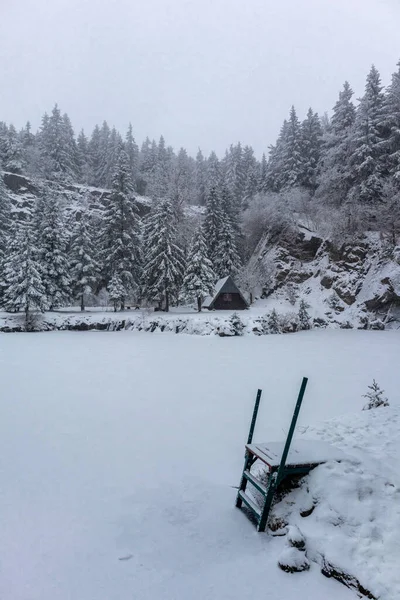 Vacker Vinter Landskap Höjderna Thüringen Skogen Nära Floh Seligenthal Thüringen — Stockfoto