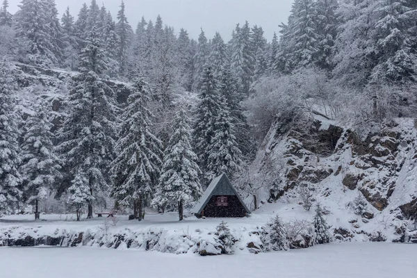 Piękny Zimowy Krajobraz Wysokościach Lasu Turyngii Pobliżu Floh Seligenthal Turyngia — Zdjęcie stockowe