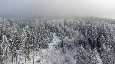 Oberhof yakınlarındaki Thuringian Ormanı 'nın tepelerinde güzel bir kış manzarası.