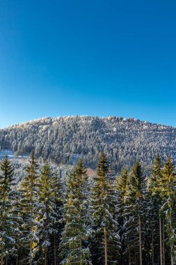Oberschnau yakınlarındaki Thuringian Ormanı 'nın tepelerinde güzel bir kış manzarası.