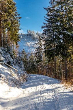 Oberschnau yakınlarındaki Thuringian Ormanı 'nın tepelerinde güzel bir kış manzarası.