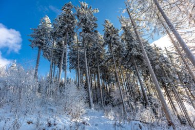 Oberschnau yakınlarındaki Thuringian Ormanı 'nın tepelerinde güzel bir kış manzarası.