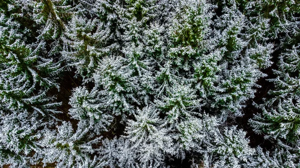 Bela Paisagem Inverno Nas Alturas Floresta Turíngia Perto Schmalkalden Turíngia — Fotografia de Stock