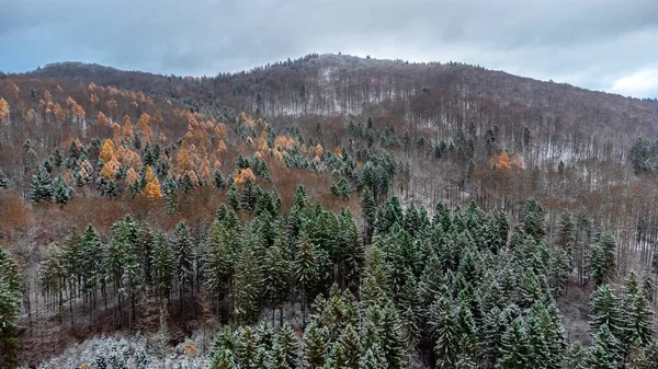 シュマルカルデン近くのテューリンゲンの森の高さの美しい冬の風景 テューリンゲン自由州 — ストック写真