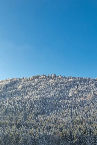 Beautiful Winter Landscape Heights Thuringian Forest Oberschnau Thuringia — Stock Photo, Image