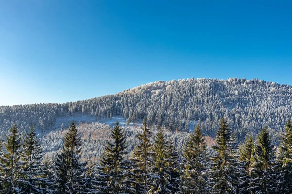 Beautiful Winter Landscape Heights Thuringian Forest Oberschnau Thuringia — Stock Photo, Image