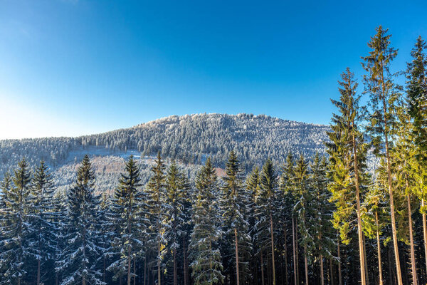 Beautiful winter landscape on the heights of the Thuringian Forest near Oberschnau - Thuringia