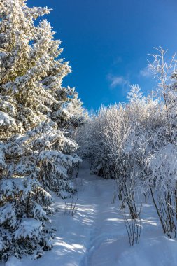 Oberschnau yakınlarındaki Thuringian Ormanı 'nın tepelerinde güzel bir kış manzarası.