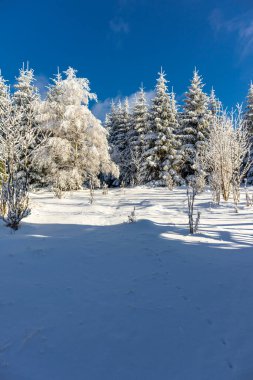 Oberschnau yakınlarındaki Thuringian Ormanı 'nın tepelerinde güzel bir kış manzarası.