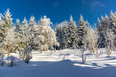 Oberschnau yakınlarındaki Thuringian Ormanı 'nın tepelerinde güzel bir kış manzarası.