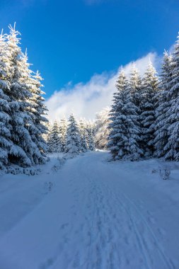 Oberschnau yakınlarındaki Thuringian Ormanı 'nın tepelerinde güzel bir kış manzarası.