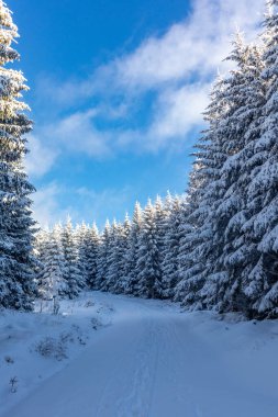 Oberschnau yakınlarındaki Thuringian Ormanı 'nın tepelerinde güzel bir kış manzarası.