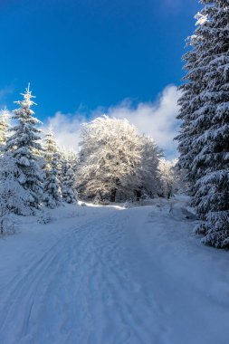 Oberschnau yakınlarındaki Thuringian Ormanı 'nın tepelerinde güzel bir kış manzarası.