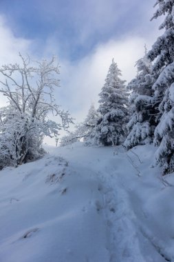 Oberschnau yakınlarındaki Thuringian Ormanı 'nın tepelerinde güzel bir kış manzarası.