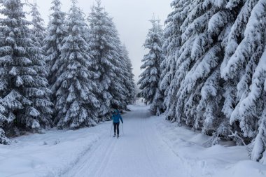 Oberschnau yakınlarındaki Thuringian Ormanı 'nın tepelerinde güzel bir kış manzarası.
