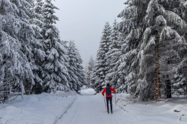 Oberschnau yakınlarındaki Thuringian Ormanı 'nın tepelerinde güzel bir kış manzarası.