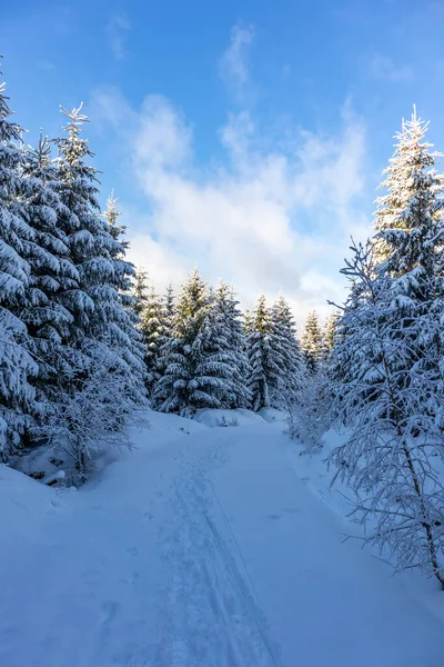 Bela Paisagem Inverno Nas Alturas Floresta Turíngia Perto Oberschnau Turíngia — Fotografia de Stock