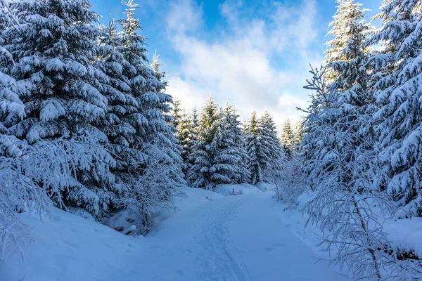 Bela Paisagem Inverno Nas Alturas Floresta Turíngia Perto Oberschnau Turíngia — Fotografia de Stock