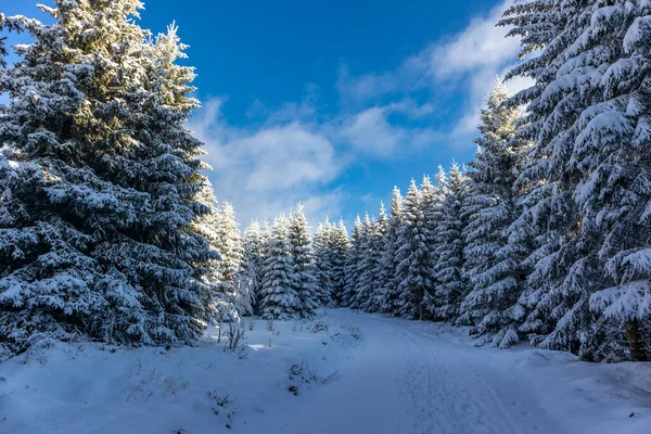 Gyönyörű Téli Táj Türingiai Erdő Magaslatain Oberschnau Közelében Türingia — Stock Fotó