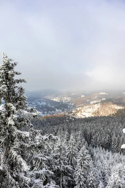 Beautiful Winter Landscape Heights Thuringian Forest Oberschnau Thuringia — Stock Photo, Image