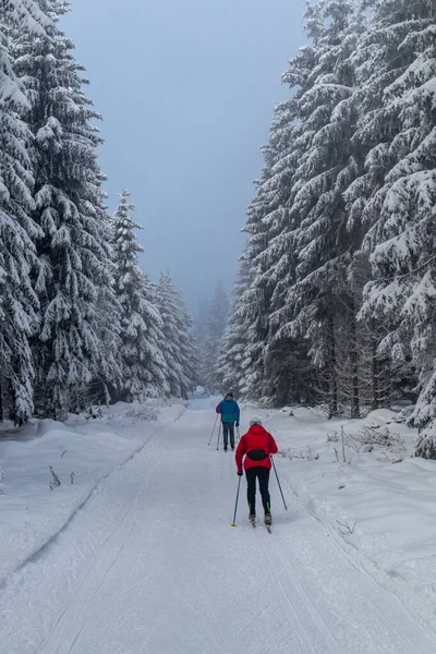 Prachtig Winterlandschap Hoogten Van Het Thüringer Woud Bij Oberschnau Thüringen — Stockfoto