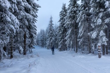 Oberschnau yakınlarındaki Thuringian Ormanı 'nın tepelerinde güzel bir kış manzarası.