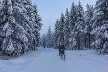 Oberschnau yakınlarındaki Thuringian Ormanı 'nın tepelerinde güzel bir kış manzarası.
