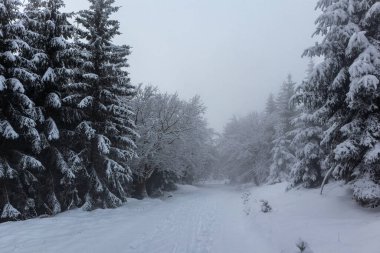 Oberschnau yakınlarındaki Thuringian Ormanı 'nın tepelerinde güzel bir kış manzarası.