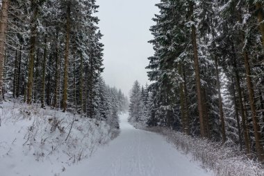 Oberschnau yakınlarındaki Thuringian Ormanı 'nın tepelerinde güzel bir kış manzarası.
