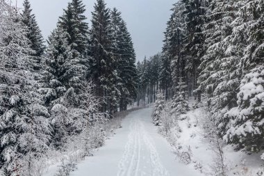 Oberschnau yakınlarındaki Thuringian Ormanı 'nın tepelerinde güzel bir kış manzarası.