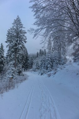 Oberschnau yakınlarındaki Thuringian Ormanı 'nın tepelerinde güzel bir kış manzarası.