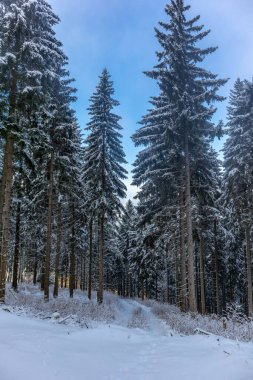 Oberschnau yakınlarındaki Thuringian Ormanı 'nın tepelerinde güzel bir kış manzarası.